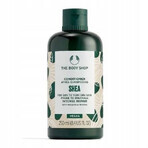 The Body Shop Conditioner for dry and brittle hair Shea Shea 1×250 ml, conditioner