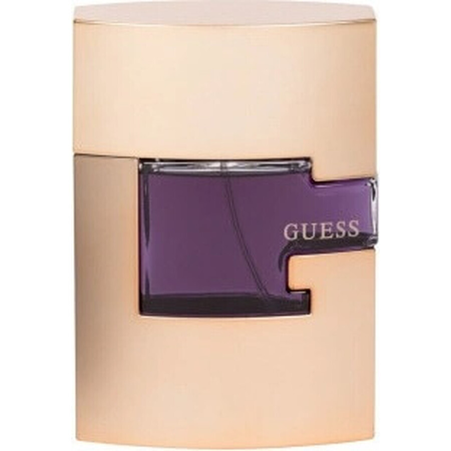 Guessguess Uomo Edt 75ml 1×75 ml, eau de toilette