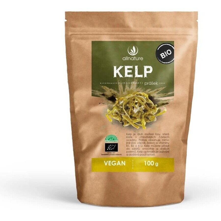 Allnature Kelp polvere biologica 100g 1×100g