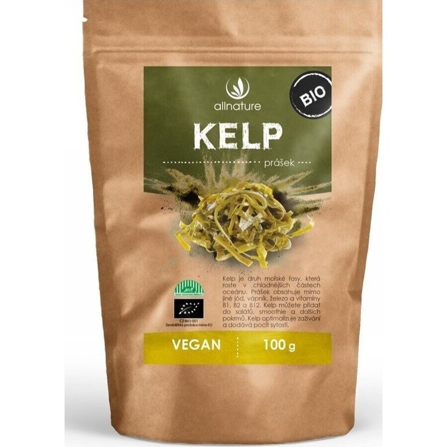 Allnature Kelp polvere biologica 100g 1×100g