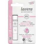 lavera Lippenbalsam SHEER 1×4,5 g, Lippenbalsam