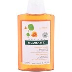 KLORANE CHAMPÚ con peonía bio 1×200ml, champú para cuero cabelludo sensible e irritado