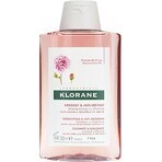 KLORANE CHAMPÚ con peonía bio 1×200ml, champú para cuero cabelludo sensible e irritado