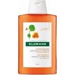 KLORANE CHAMPÚ con peonía bio 1×200ml, champú para cuero cabelludo sensible e irritado