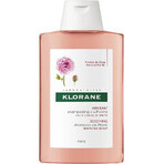 KLORANE CHAMPÚ con peonía bio 1×200ml, champú para cuero cabelludo sensible e irritado