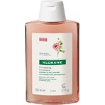 KLORANE CHAMPÚ con peonía bio 1×200ml, champú para cuero cabelludo sensible e irritado