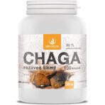 Allnature Chaga 1×100 cps, complemento alimenticio