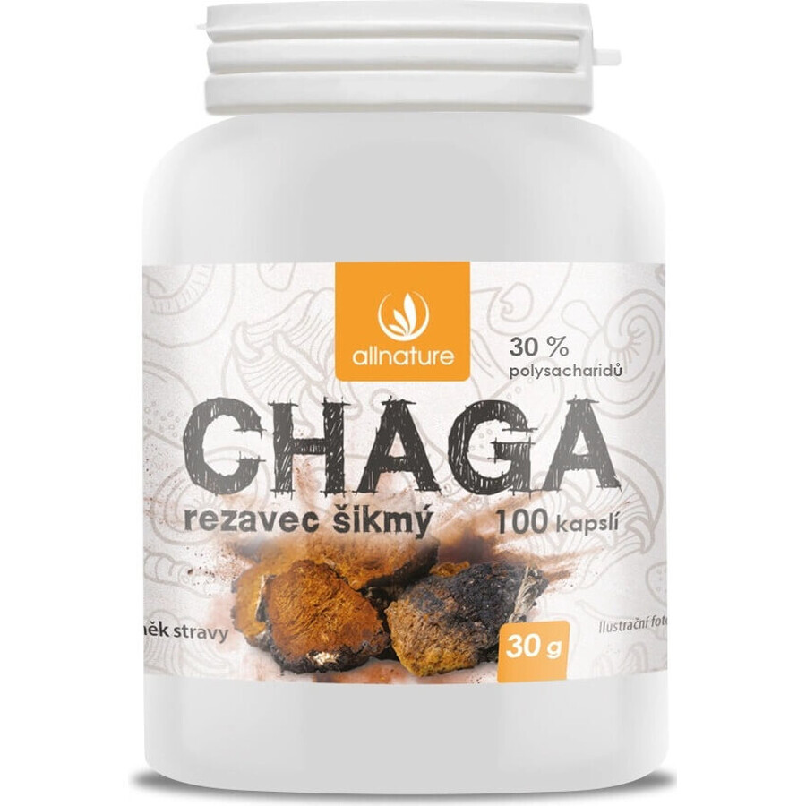 Allnature Chaga 1×100 cps, complemento alimenticio