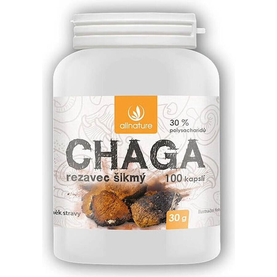 Allnature Chaga 1×100 cps, complemento alimenticio