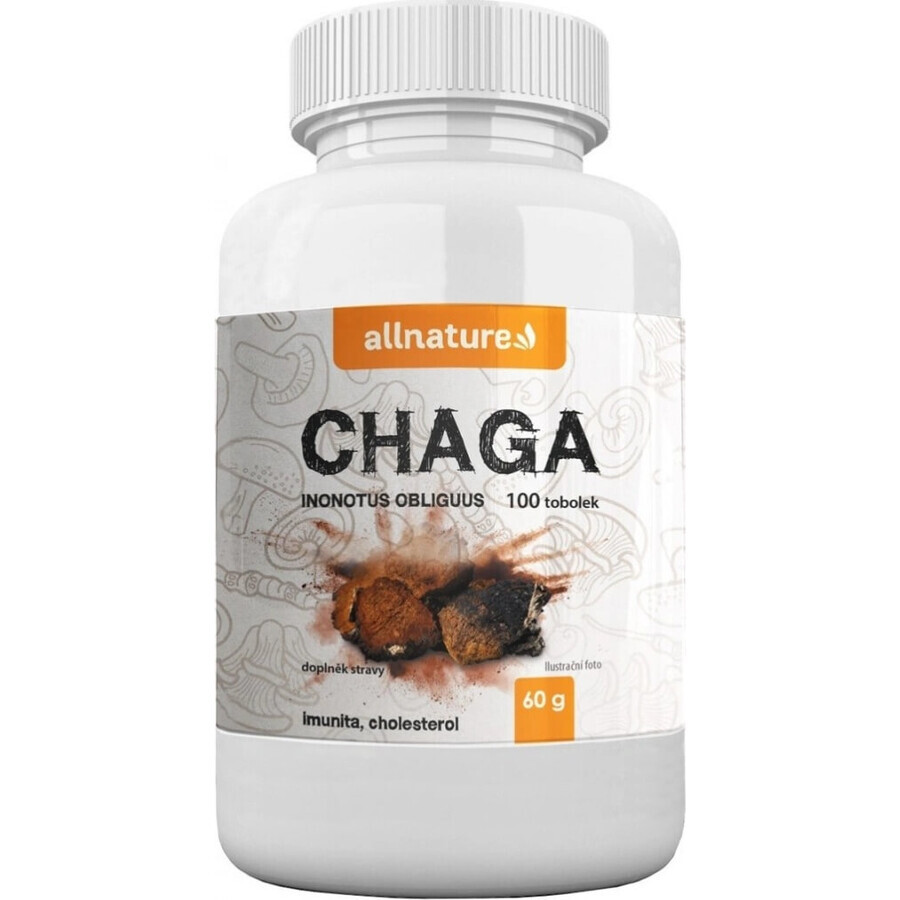 Allnature Chaga 1×100 cps, complemento alimenticio