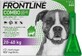 FRONTLINE COMBO spot-on per CANI L 3 x 2,68 ml 3x2,68 ml 3x2,68 ml, soluzione per cani