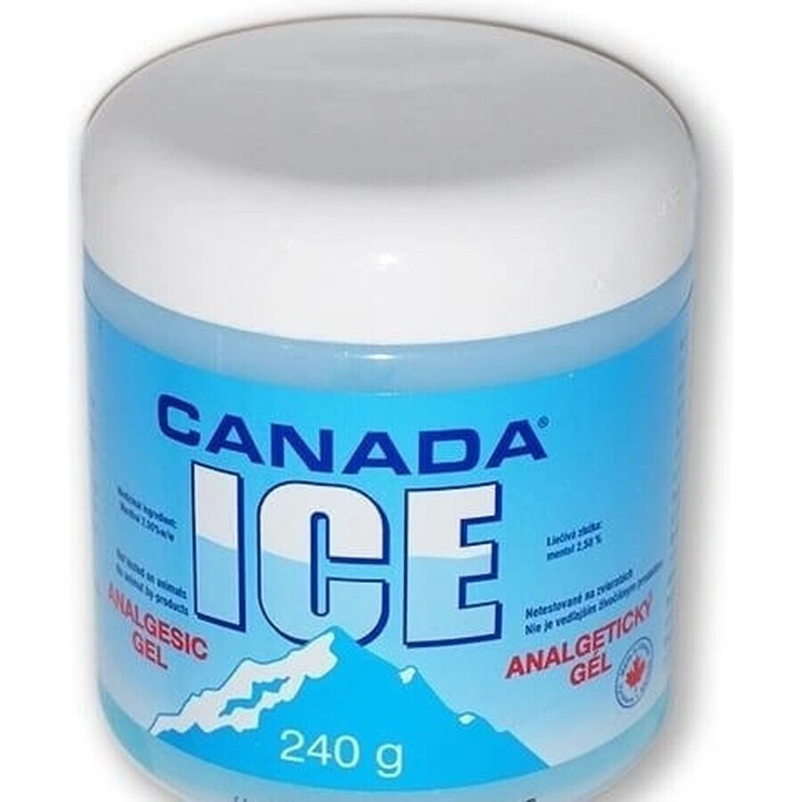 CANADA ICE GEL 1×240 ml, analgesico