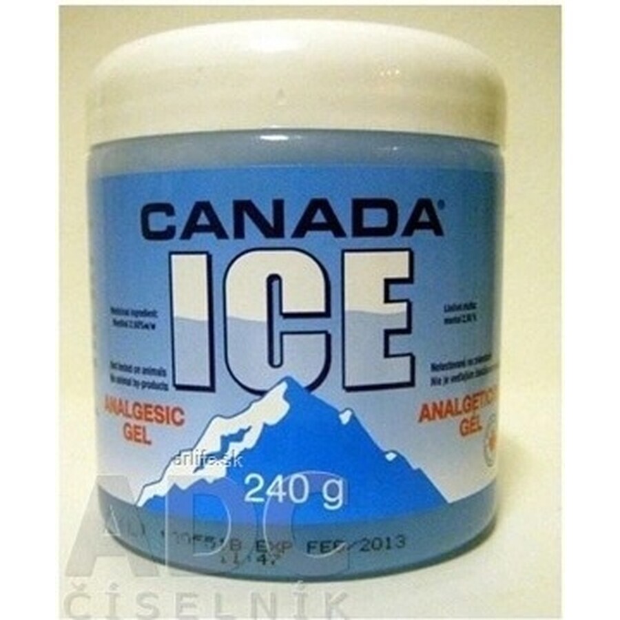 CANADA ICE GEL 1×240 ml, analgesico