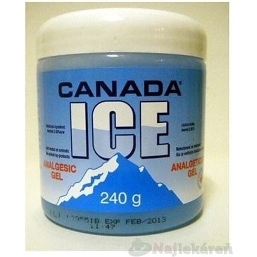 CANADA ICE GEL 1×240 ml, analgesico