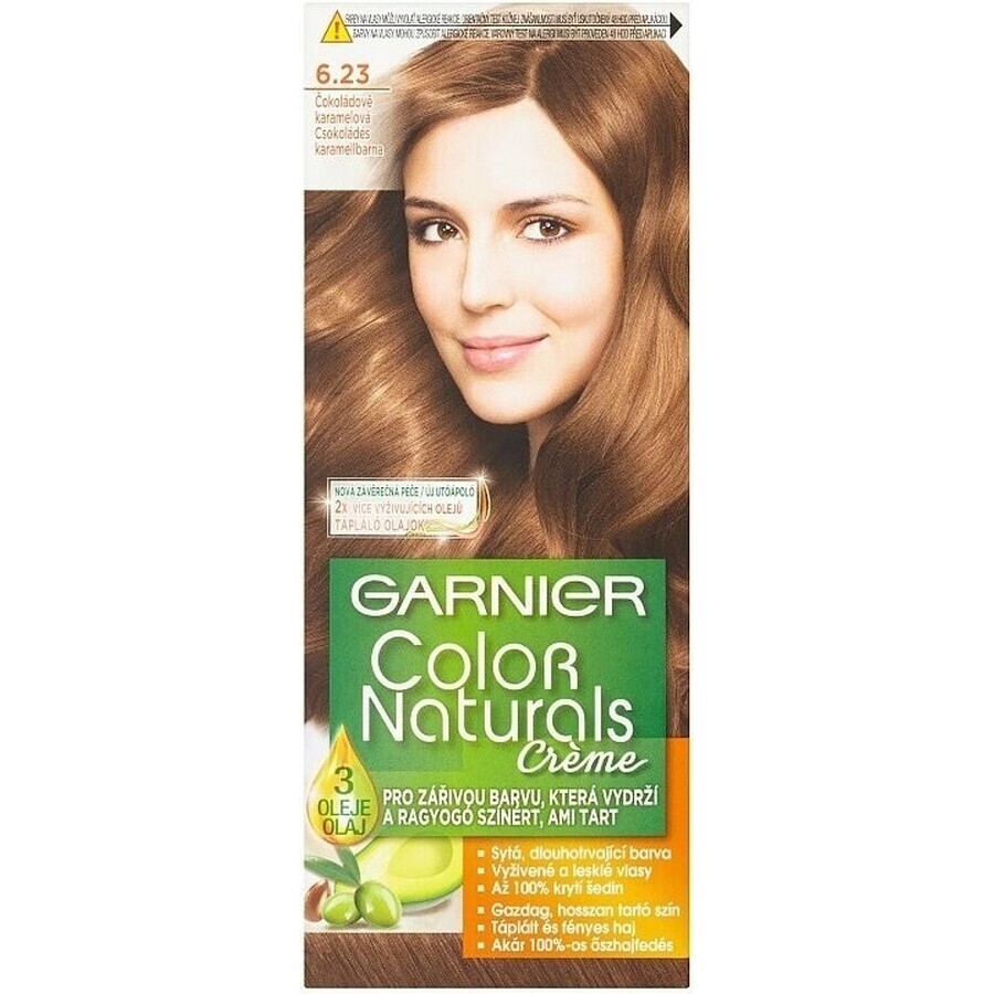 Garnier Color Naturals Colore permanente per capelli 6.23 Cioccolato Caramello 1×1 pezzo, colore per capelli