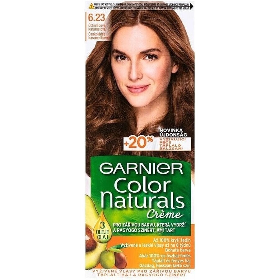 Garnier Color Naturals Colore permanente per capelli 6.23 Cioccolato Caramello 1×1 pezzo, colore per capelli