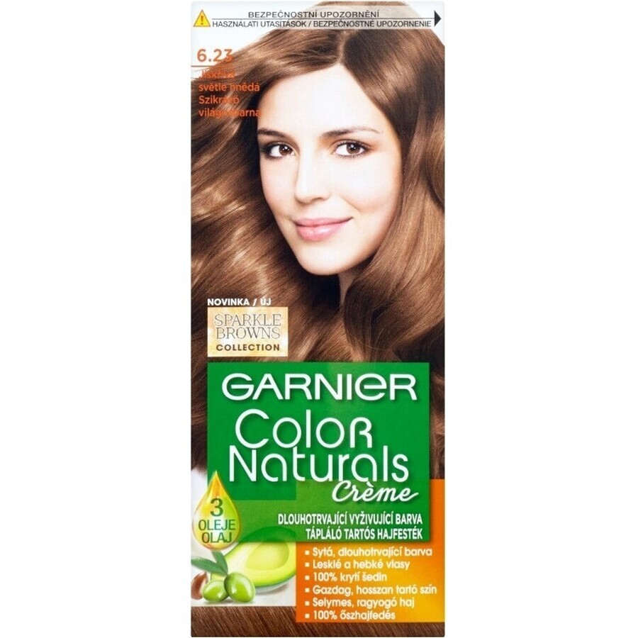 Garnier Color Naturals Colore permanente per capelli 6.23 Cioccolato Caramello 1×1 pezzo, colore per capelli