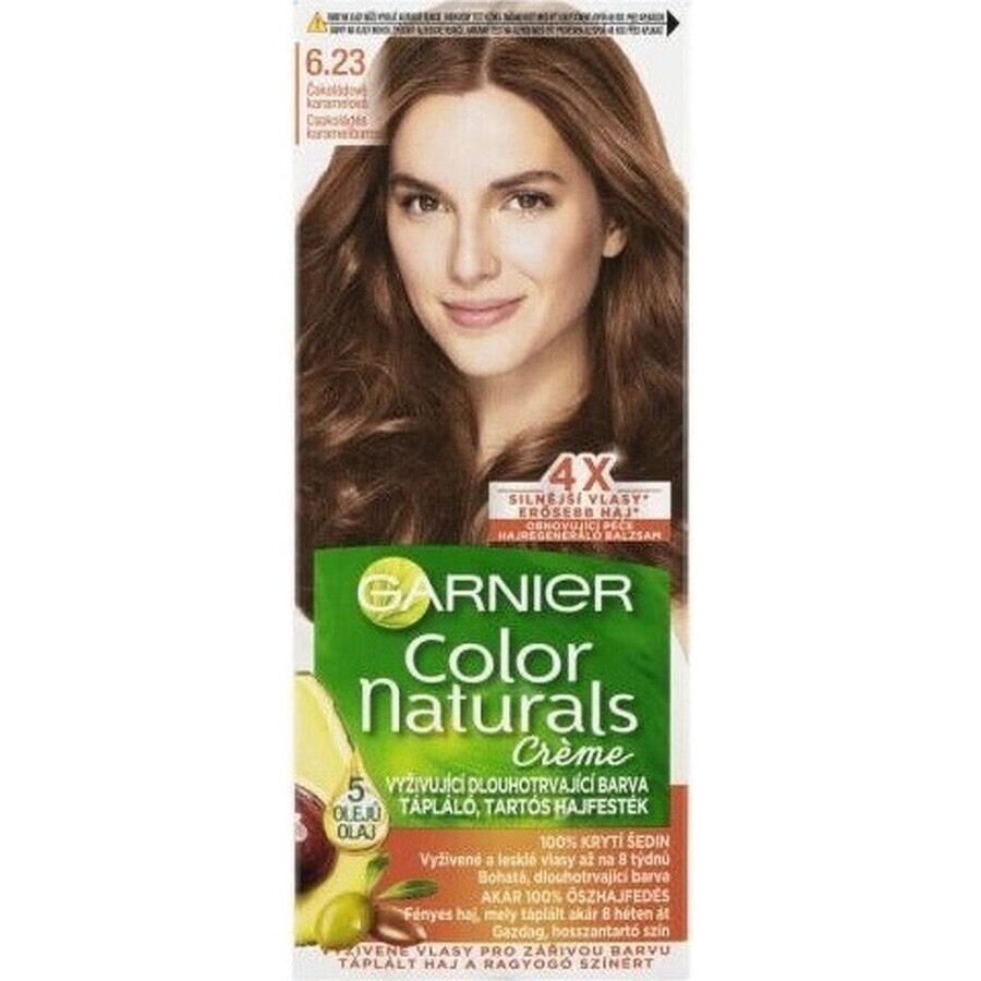 Garnier Color Naturals Colore permanente per capelli 6.23 Cioccolato Caramello 1×1 pezzo, colore per capelli