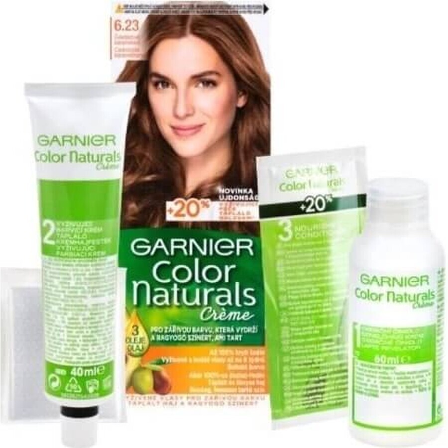 Garnier Color Naturals Colore permanente per capelli 6.23 Cioccolato Caramello 1×1 pezzo, colore per capelli