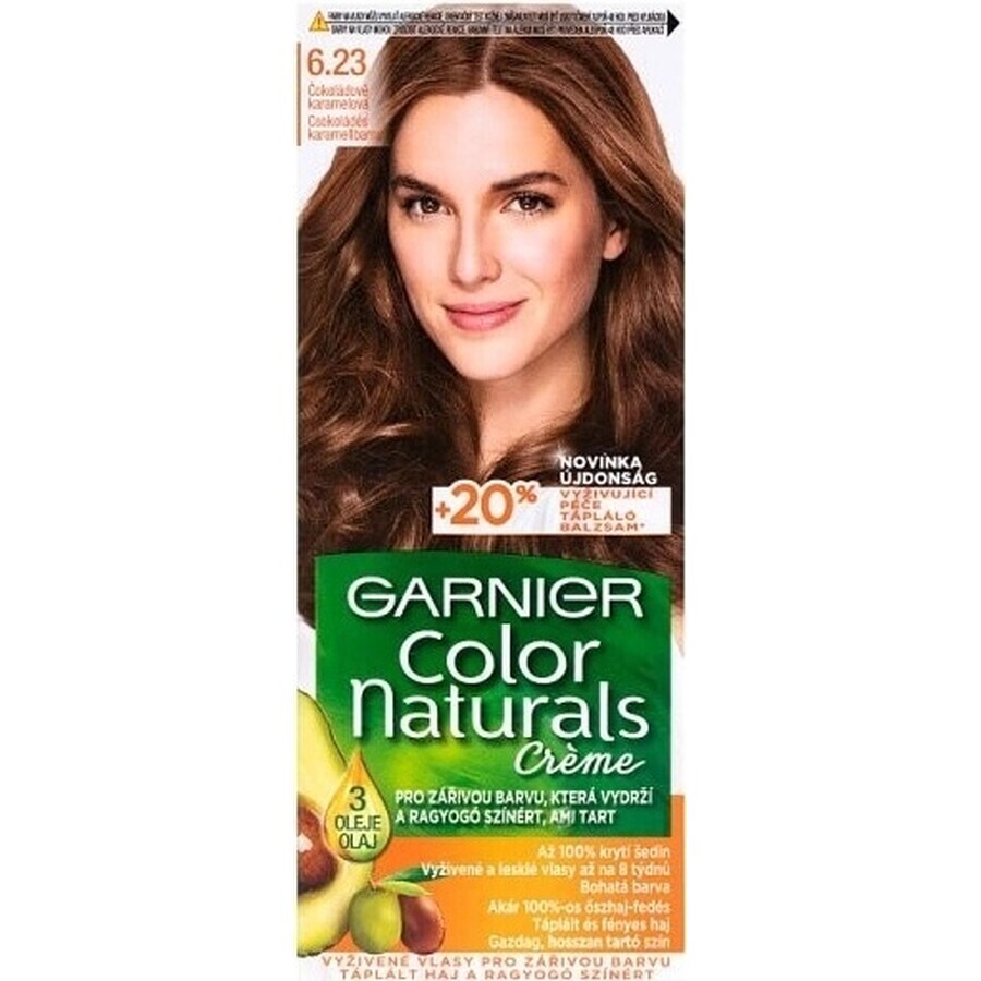 Garnier Color Naturals Colore permanente per capelli 6.23 Cioccolato Caramello 1×1 pezzo, colore per capelli