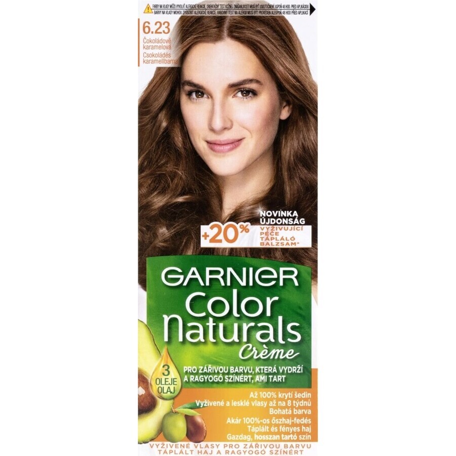 Garnier Color Naturals Colore permanente per capelli 6.23 Cioccolato Caramello 1×1 pezzo, colore per capelli