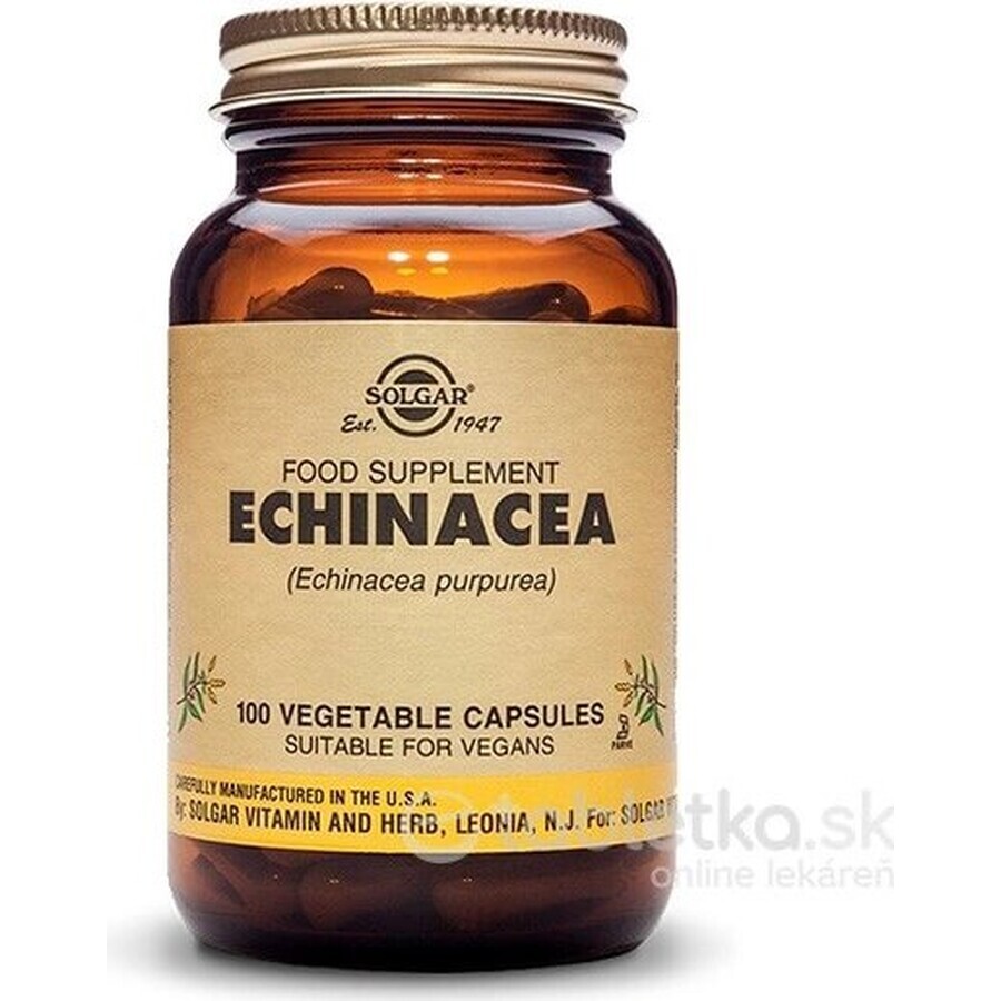 Solgar Echinacea Purpurea 100 Kapseln 1×100 tbl