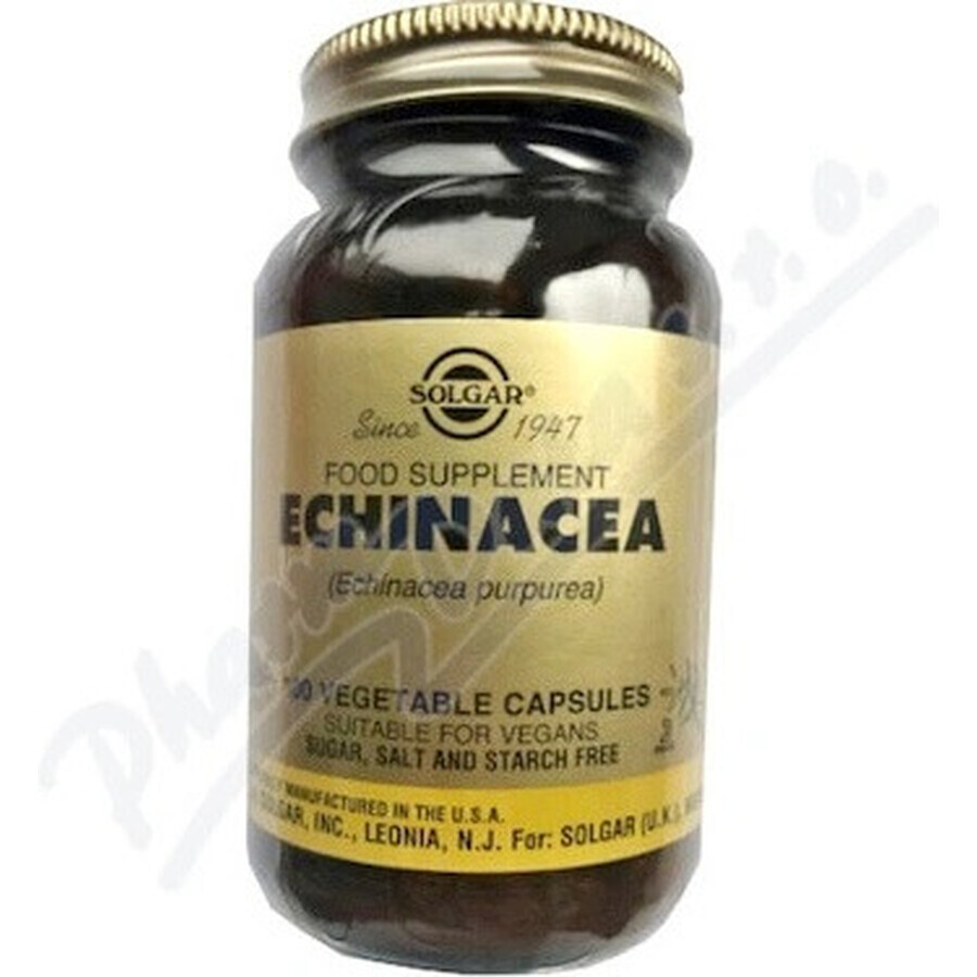 Solgar Echinacea Purpurea 100 Kapseln 1×100 tbl