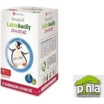 SWISS Lactobacilli JUNIOR Immunit + vitamina D3 60+12 tbl.+ regalo 1×72 tbl, vitamine