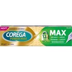 COREGA MAX Firming + Freshness 1×40 g, strong-hold firming cream