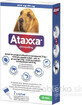 Ataxxa 2000 mg/400 mg (cani di peso superiore a 25 kg) 1&#215;4 ml, soluzione per cani