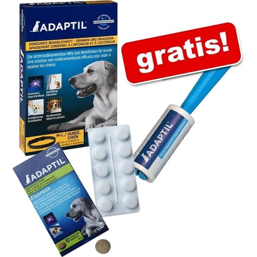 Collare Adaptil per cani di piccola taglia 1×1 pz, lunghezza 45 cm