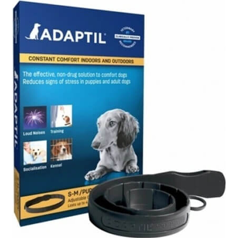 Collare Adaptil per cani di piccola taglia 1×1 pz, lunghezza 45 cm