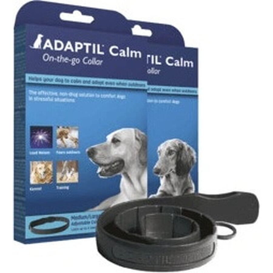 Collare Adaptil per cani di piccola taglia 1×1 pz, lunghezza 45 cm