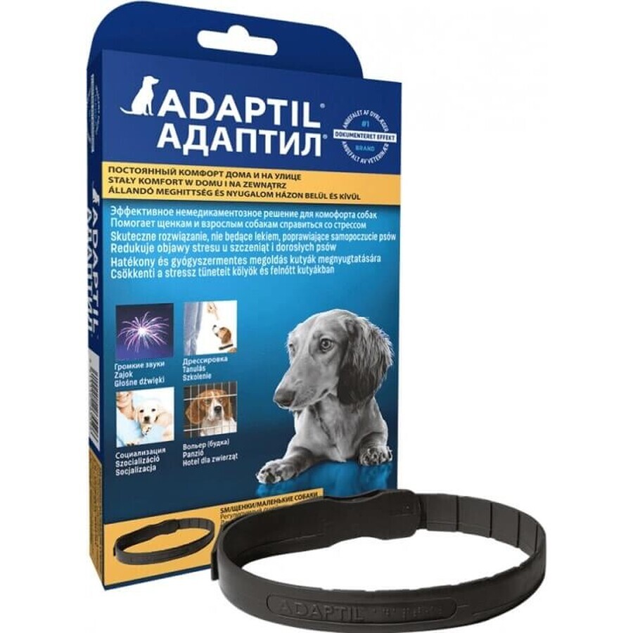 Collare Adaptil per cani di piccola taglia 1×1 pz, lunghezza 45 cm