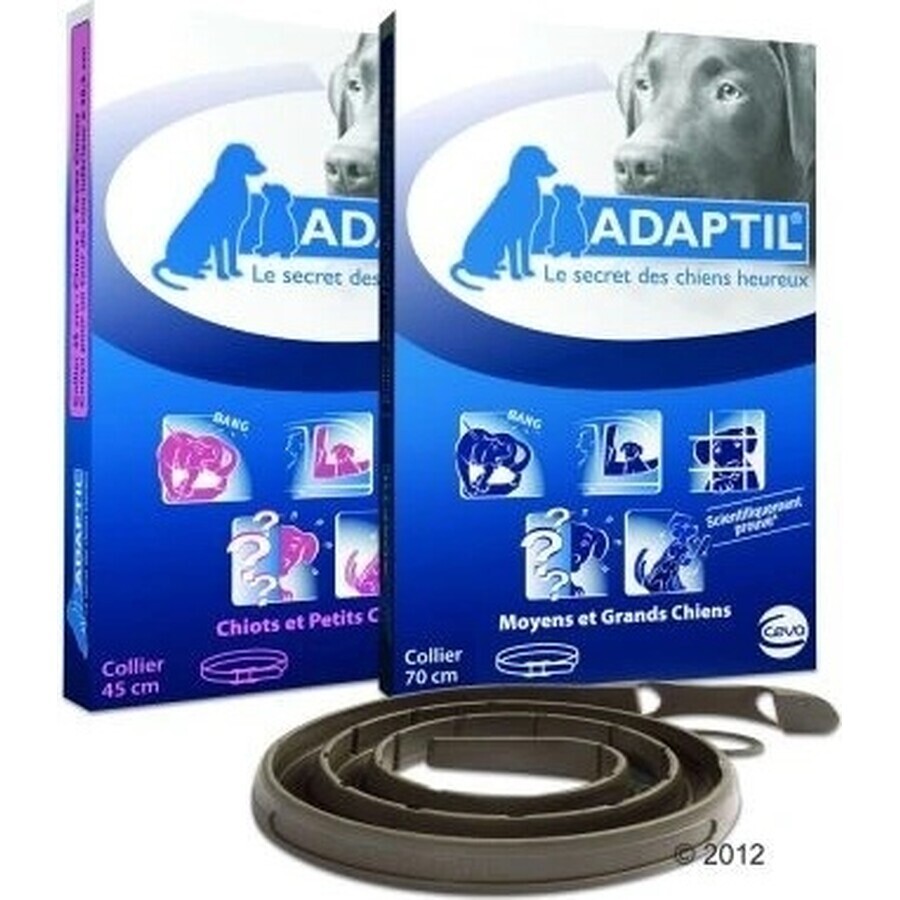 Collare Adaptil per cani di piccola taglia 1×1 pz, lunghezza 45 cm