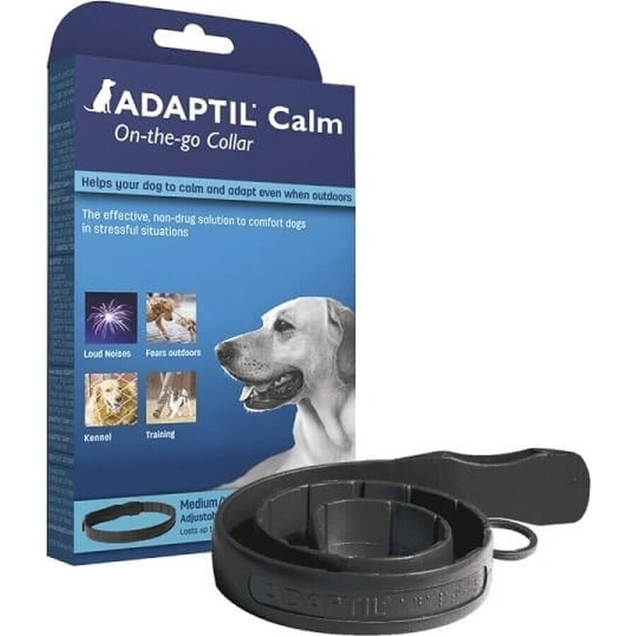 Collare Adaptil per cani di piccola taglia 1×1 pz, lunghezza 45 cm