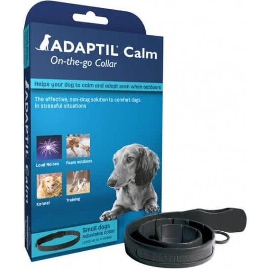 Collare Adaptil per cani di piccola taglia 1×1 pz, lunghezza 45 cm