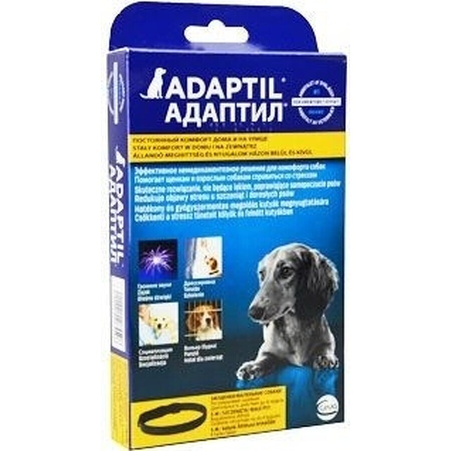 Collare Adaptil per cani di piccola taglia 1×1 pz, lunghezza 45 cm