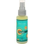 SALOOS Deodorante per ambienti Eucalipto 1×50 ml aroma Eucalipto Spray per l'aria