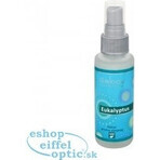 SALOOS Deodorante per ambienti Eucalipto 1×50 ml aroma Eucalipto Spray per l'aria