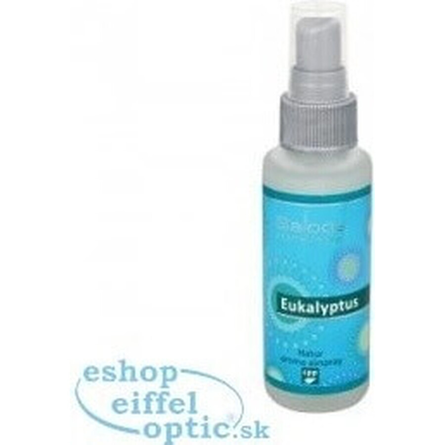 SALOOS Deodorante per ambienti Eucalipto 1×50 ml aroma Eucalipto Spray per l'aria