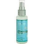 SALOOS Deodorante per ambienti Eucalipto 1×50 ml aroma Eucalipto Spray per l'aria