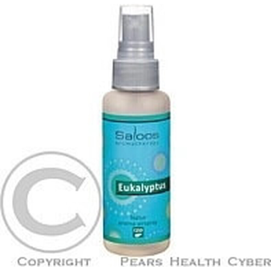 SALOOS Deodorante per ambienti Eucalipto 1×50 ml aroma Eucalipto Spray per l'aria