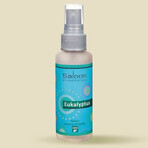 SALOOS Deodorante per ambienti Eucalipto 1×50 ml aroma Eucalipto Spray per l'aria