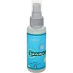 SALOOS Deodorante per ambienti Eucalipto 1×50 ml aroma Eucalipto Spray per l'aria