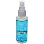 SALOOS Deodorante per ambienti Eucalipto 1×50 ml aroma Eucalipto Spray per l'aria