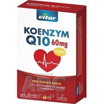 KOENZYM Q10 60 mg FORTE 1×60 cps, con vitamina E e selenio