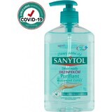 Sanytol Sapone disinfettante purificante 1×250 ml, sapone disinfettante