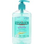 Sanytol Savon désinfectant purifiant 1×250 ml, savon désinfectant