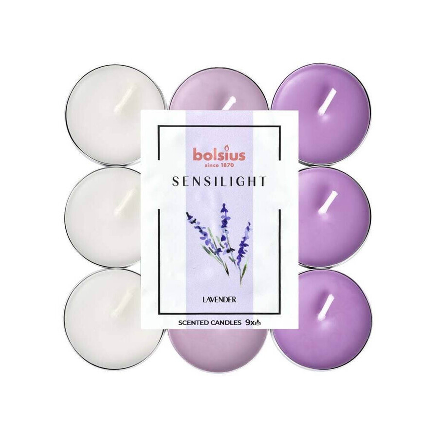 BOLSIUS Sensilight LAVENDER Teelichter Sensilight LAVENDER 1×9 Stück, dreifarbig